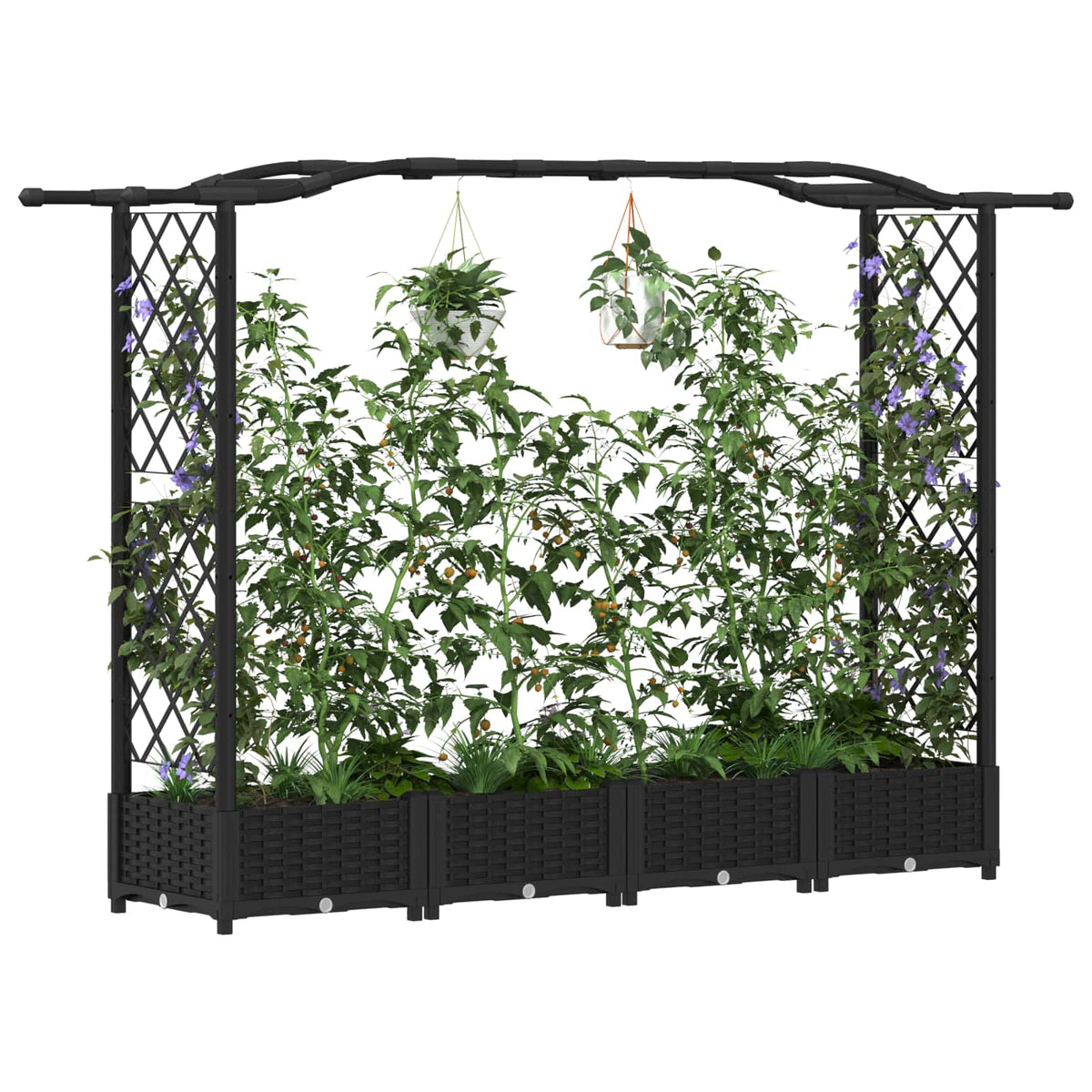 Cama Elevada Con Trellis Y Techo Negro 207 X 40 X 123 Cm Pp_2