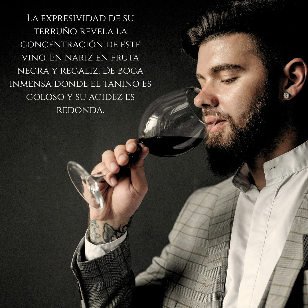 Vino Tinto Reserva 2020 Pack 3 Botellas 750 Ml | Tempranillo 45% Syrah 45%, Graciano 10% | 12 Meses Barrica + 5 Años_2