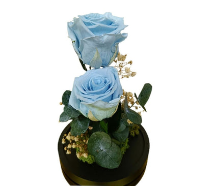 Cúpula 2 Rosas Azul Claro 12x20cm_1