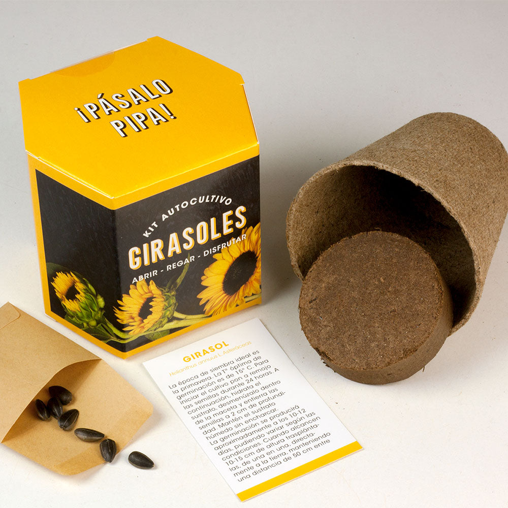 Kit Autocultivo Girasoles Cultiva Flores Grandes y Luminosas en Casa - Resetea_1