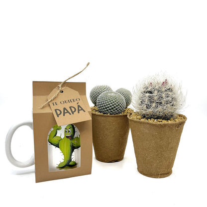 Pack Regalo Día Del Padre Taza Pincho + Plantas_0