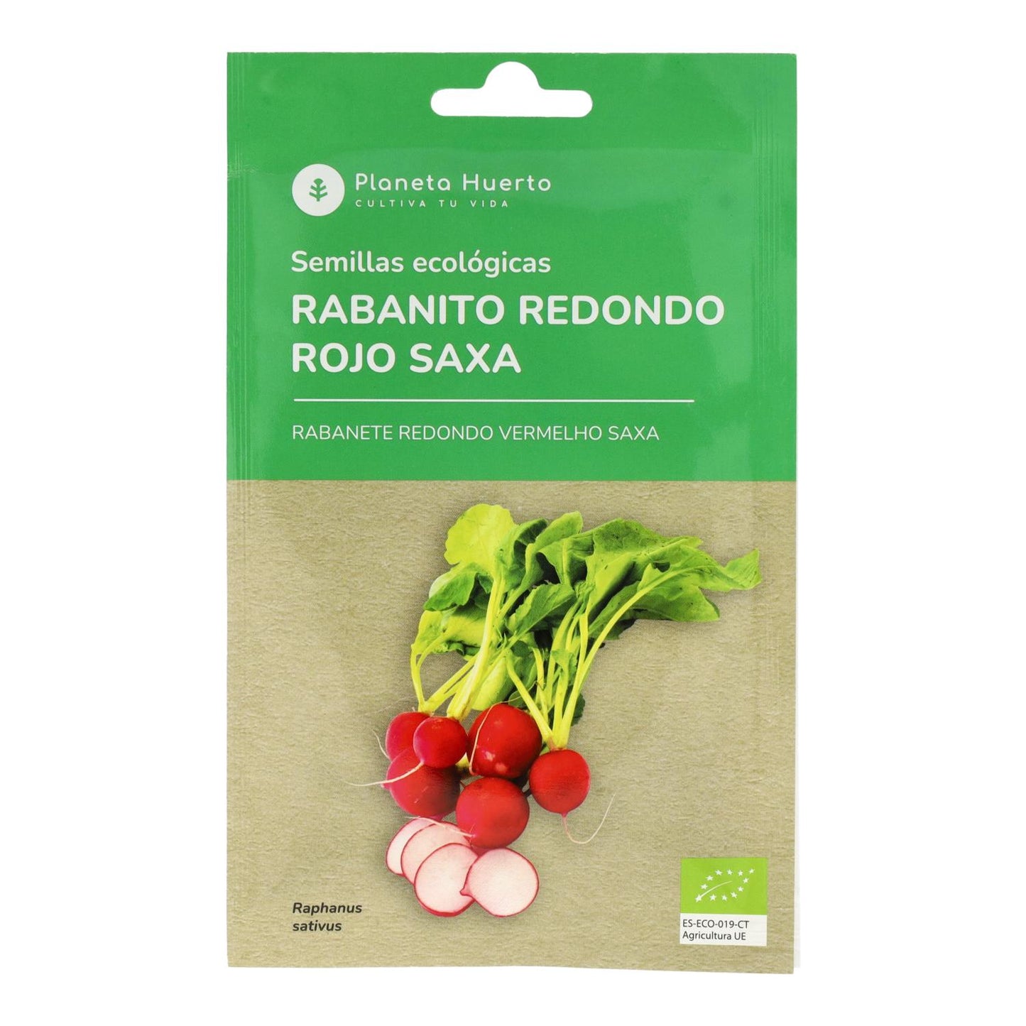 Sementes orgânicas de rabanete vermelho redondo da Planeta Huerto
