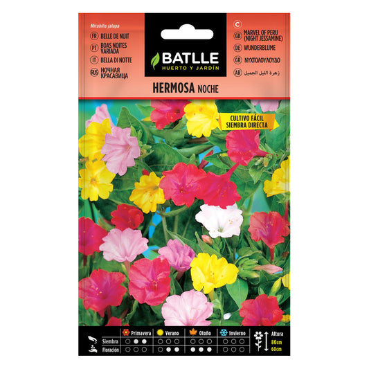 Sementes de flores noturnas bonitas e variegadas Batlle
