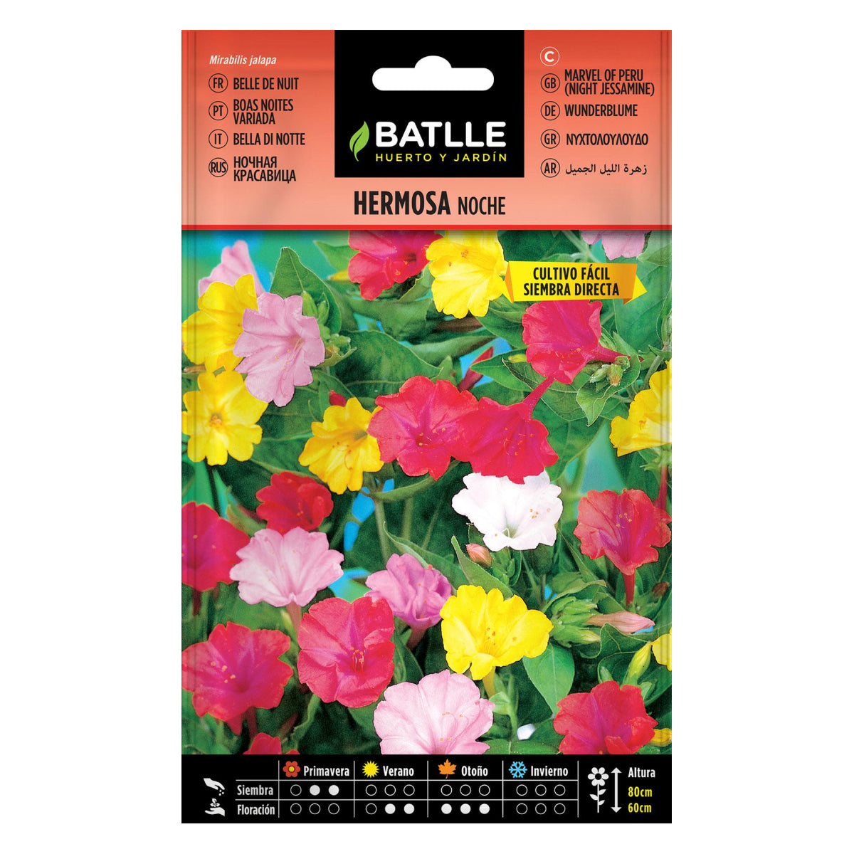 Sementes de flores noturnas bonitas e variegadas Batlle