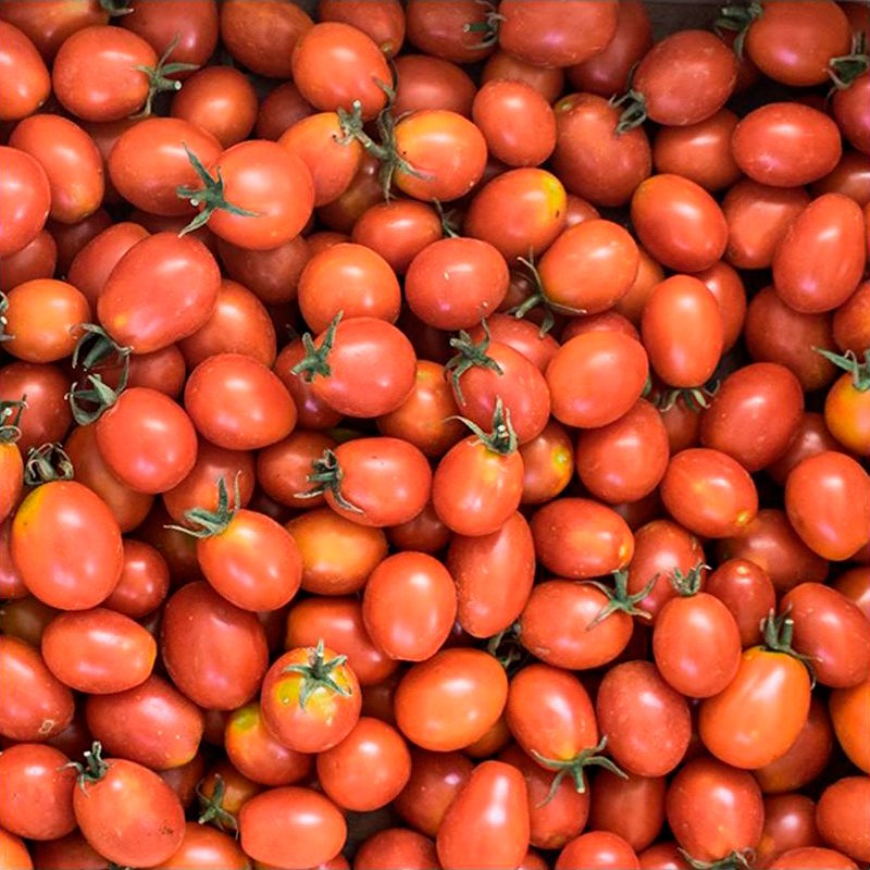 Semillas Tomate Principe Borghese Ecológicas Biodinámicas Demeter