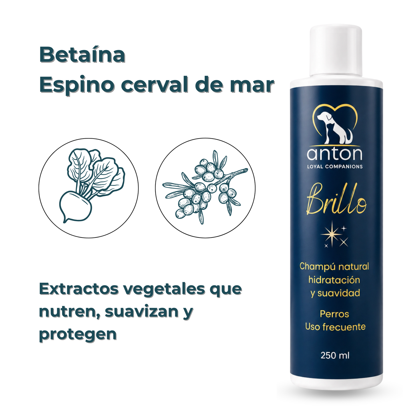 Champú natural para el cuidado del pelaje de perros – Pack 3 x 250 ml_3