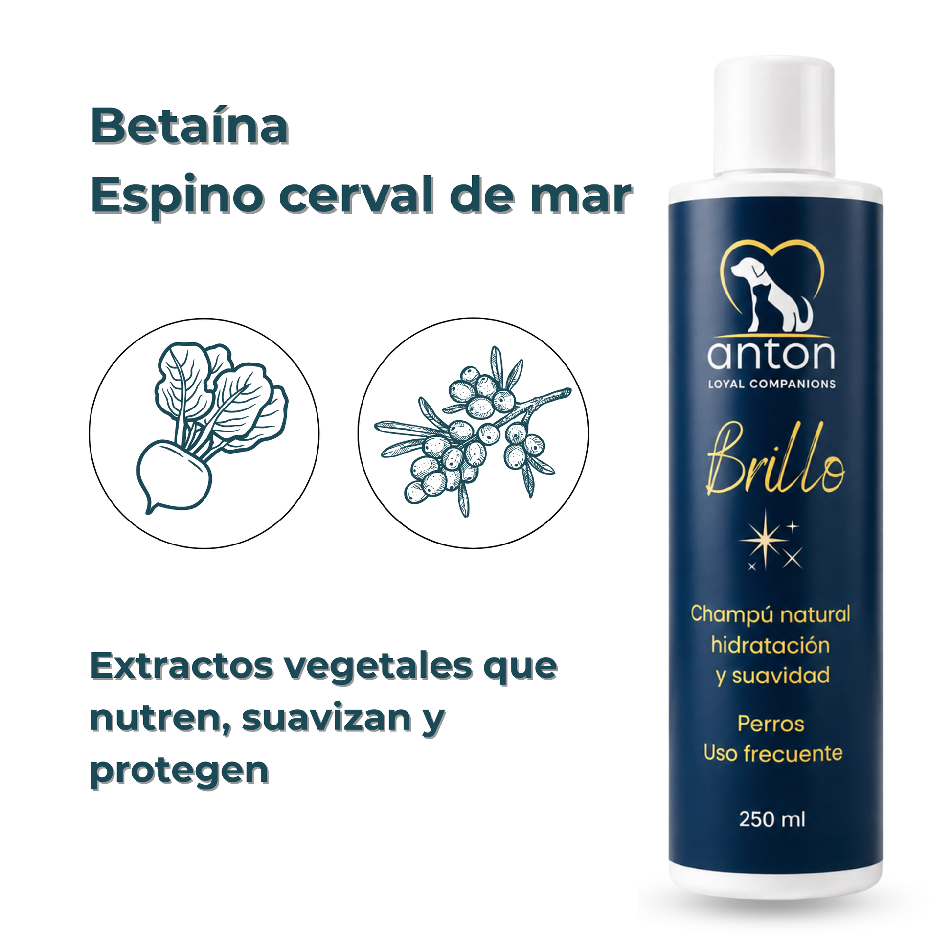 Champú natural para el cuidado del pelaje de perros – Pack 3 x 250 ml_3