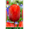 Bulbos de Tulipa Darwin Laranja Elite 10 unidades