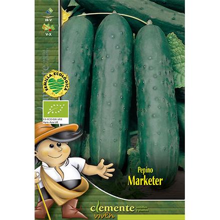 Sementes de Pepino Biológico Marketer
