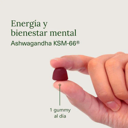 Ashwagandha em gomas com sabor a cereja Aldous Bio 120 gomas