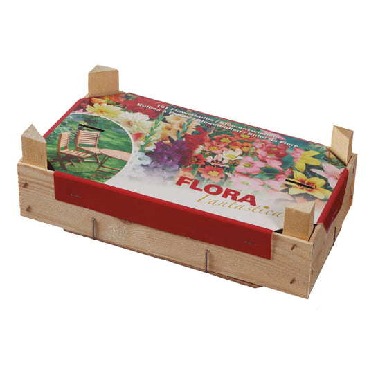Box Tray Mix Spring Bulbos Elite 100 unidades