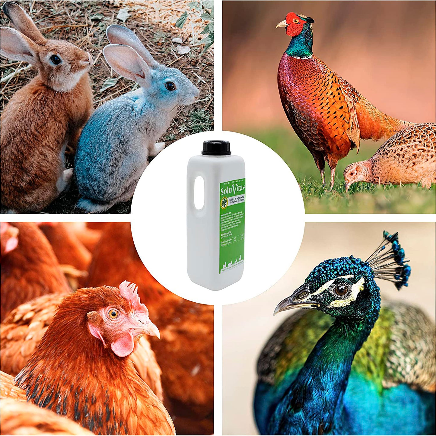 SoluVita 250ml - Vitaminas para Gallinas, Conejos, Anátidas y Otras Aves - Apoyo nutricional en épocas de alta demanda_3