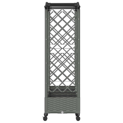 Cama Elevada Con Trellis Y Techo Gris Claro 207 X 40 X 129 Cm_4