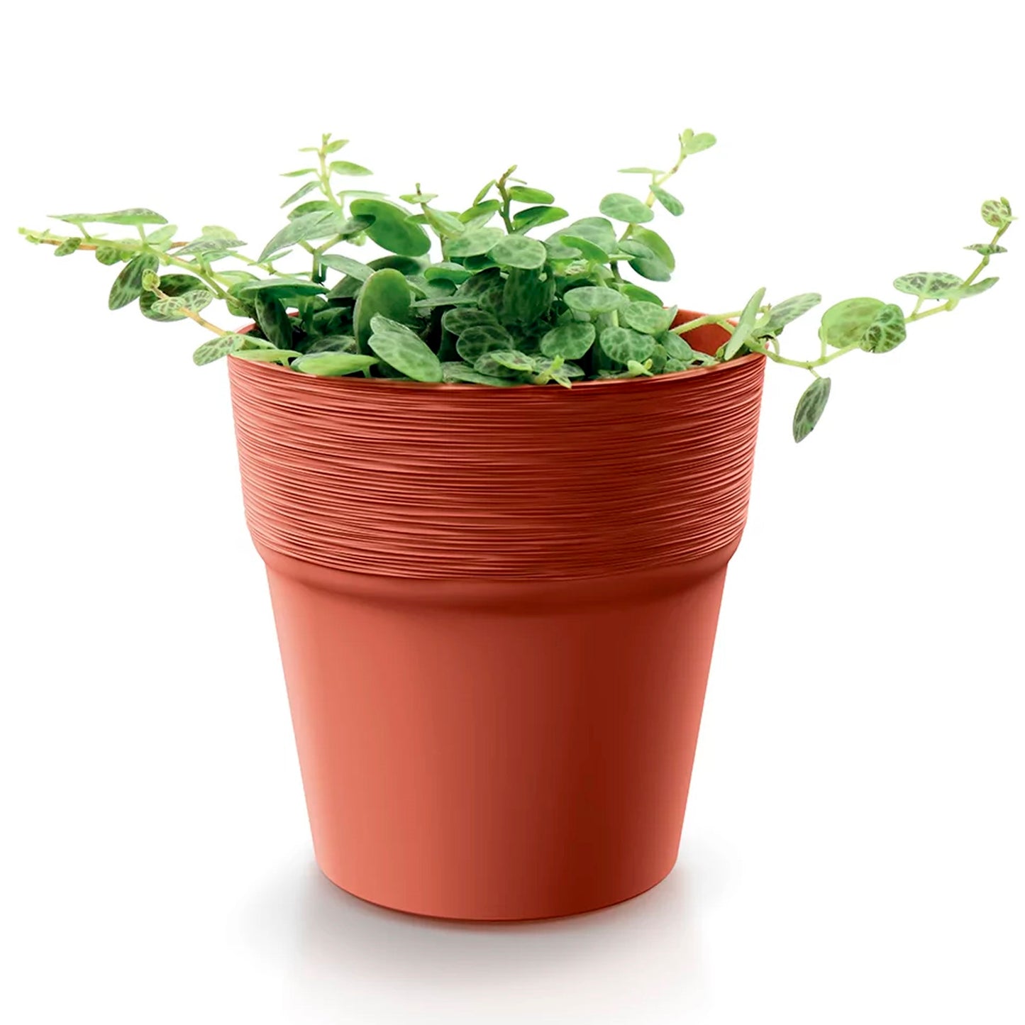 Maceta Furu , Dimensiones (mm) 147x147x148, Color Blanco