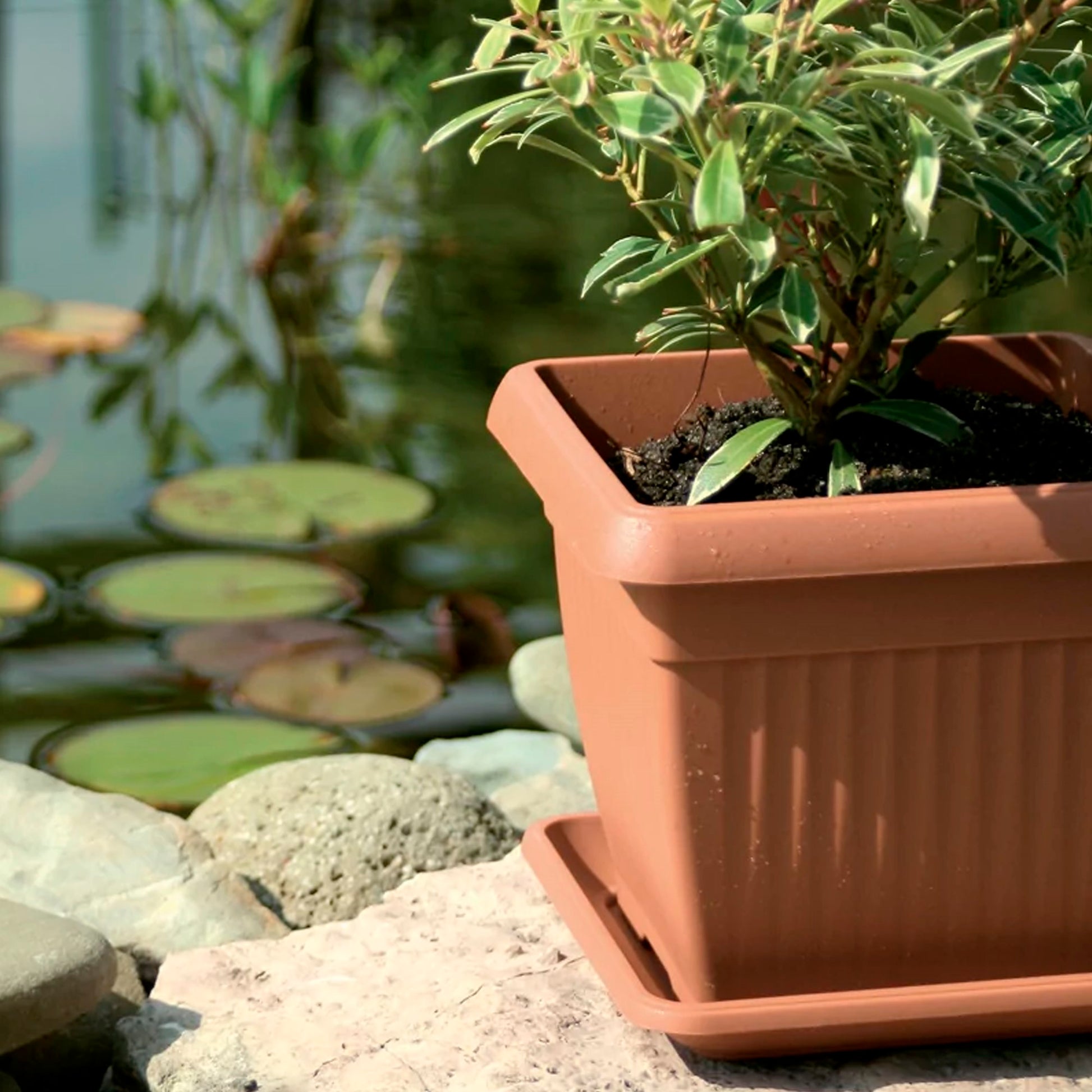 Maceta Terra 7l., Dimensiones (mm) 240x240x200, Color Terracota