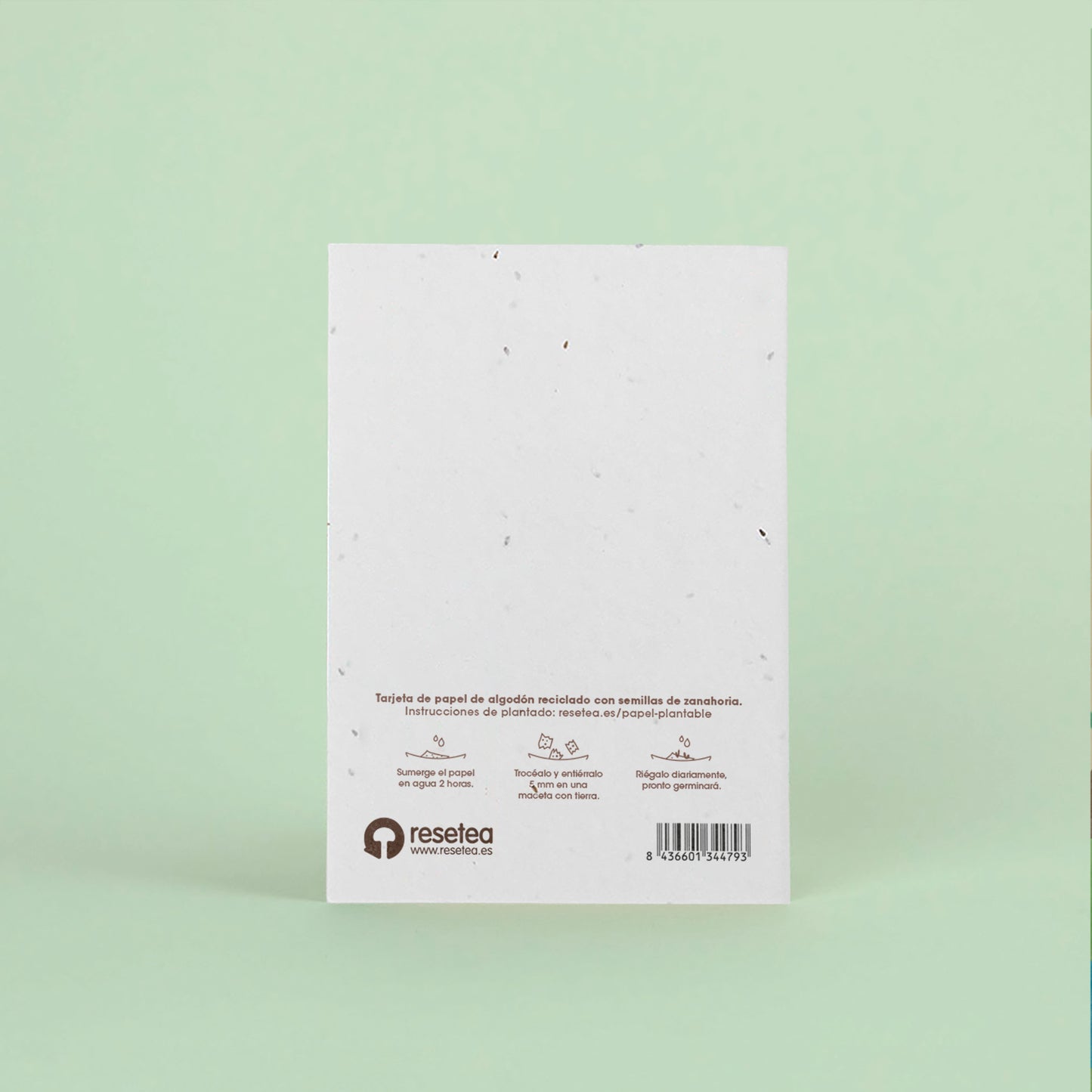 Postal Plantable Bienvenido con Semillas de Zanahoria – Regalo Original para Recién Nacidos - Resetea_1