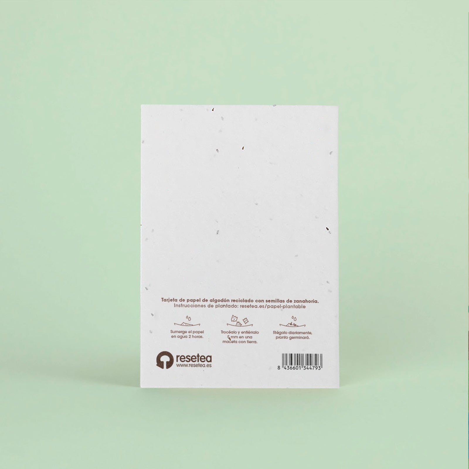 Postal Plantable Bienvenido con Semillas de Zanahoria – Regalo Original para Recién Nacidos - Resetea_1