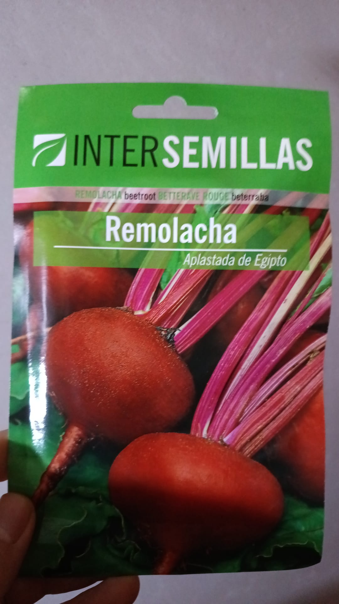 Sobre De Semillas De Remolacha Aplastada De Egipto_0