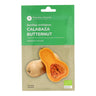 Sementes de abóbora butternut biológicas Planeta Huerto