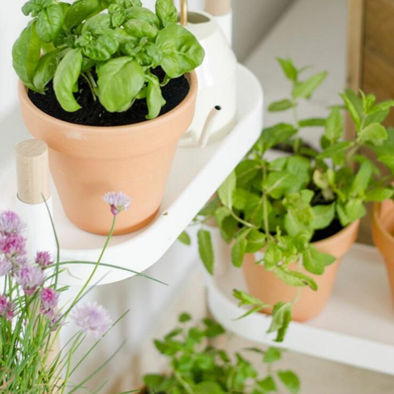 Soporte Modular Citysens De 4 Bandejas Y Semillas Aromáticas – Blanco, Polipropileno 100% Reciclado Y Madera Ecológica_1