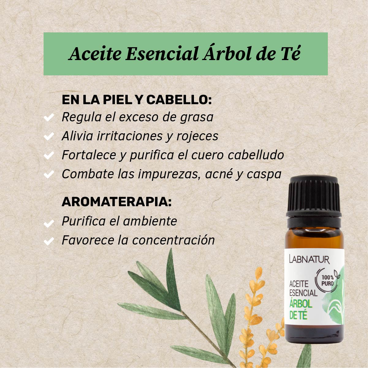 Aceite De Árbol De Té Puro 10 Ml | Purificante Y Antibacteriano | Cuidado Facial Y Corporal | Uso Diario_1