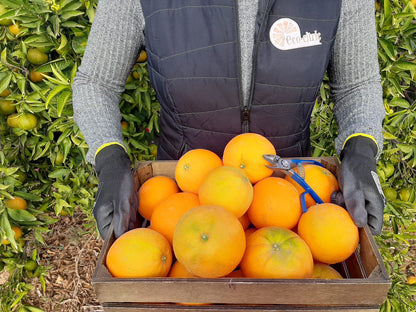 Naranja Ecológica 20kg._1