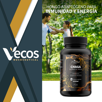 Chaga Zhongyi Vecos 100 Cápsulas | Antioxidante Y Defensa Celular | 500 Mg Con 30% Betaglucanos_1
