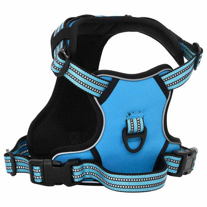 Arnés Para Perros Con Correa Y Collar Ajustable Azul L_2