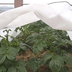 Túnel de cultivo anti-gelo 3 m Biotop