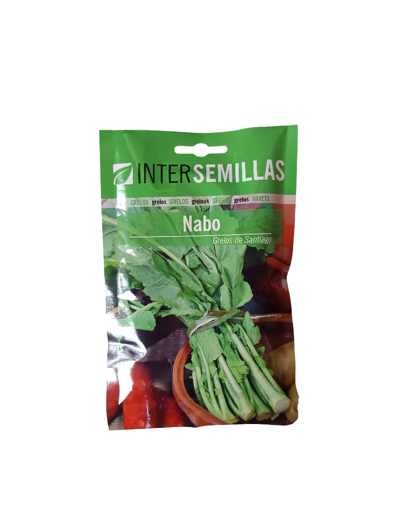 Semillas De Nabo Variedad Grelos De Santiago 100 Gr._0