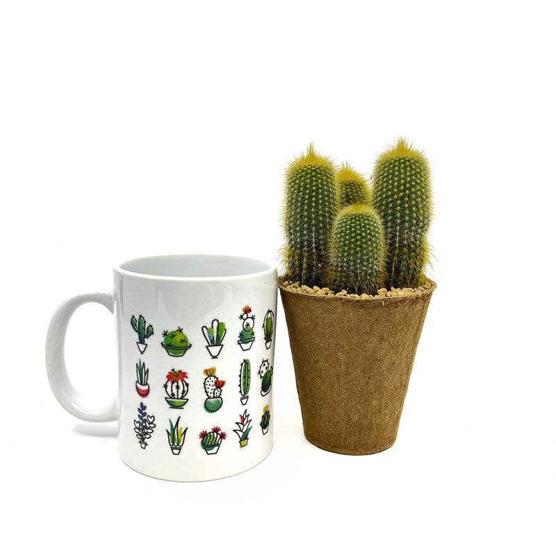Pack Regalo Día Del Padre Taza Cactus + Planta_1