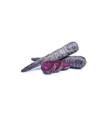 Plantón Zanahoria Morada (10 Unidades)_0