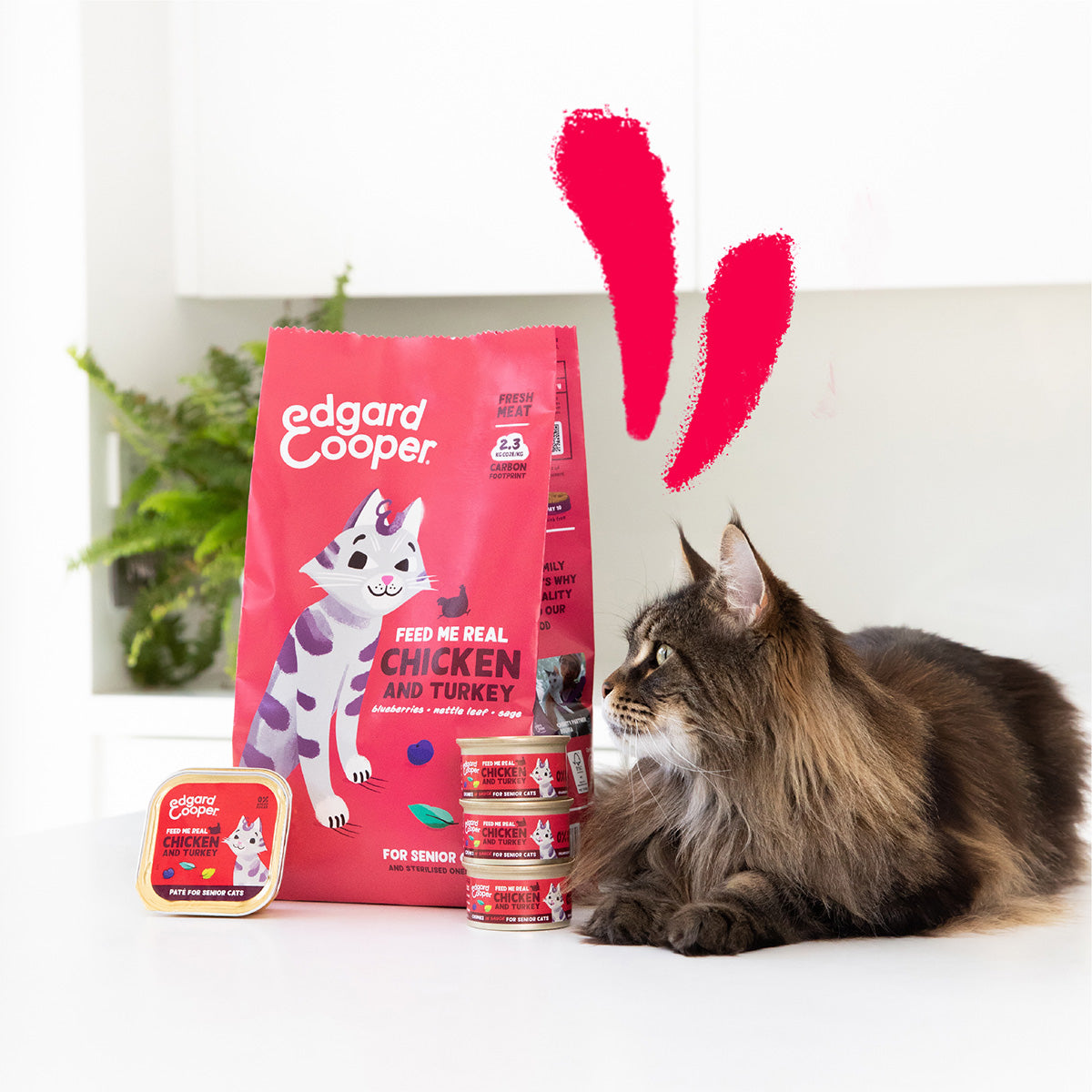 Edgard &amp; Cooper Ração Húmida para Gatos com Molho de Peru e Pedaços de Frango 85g