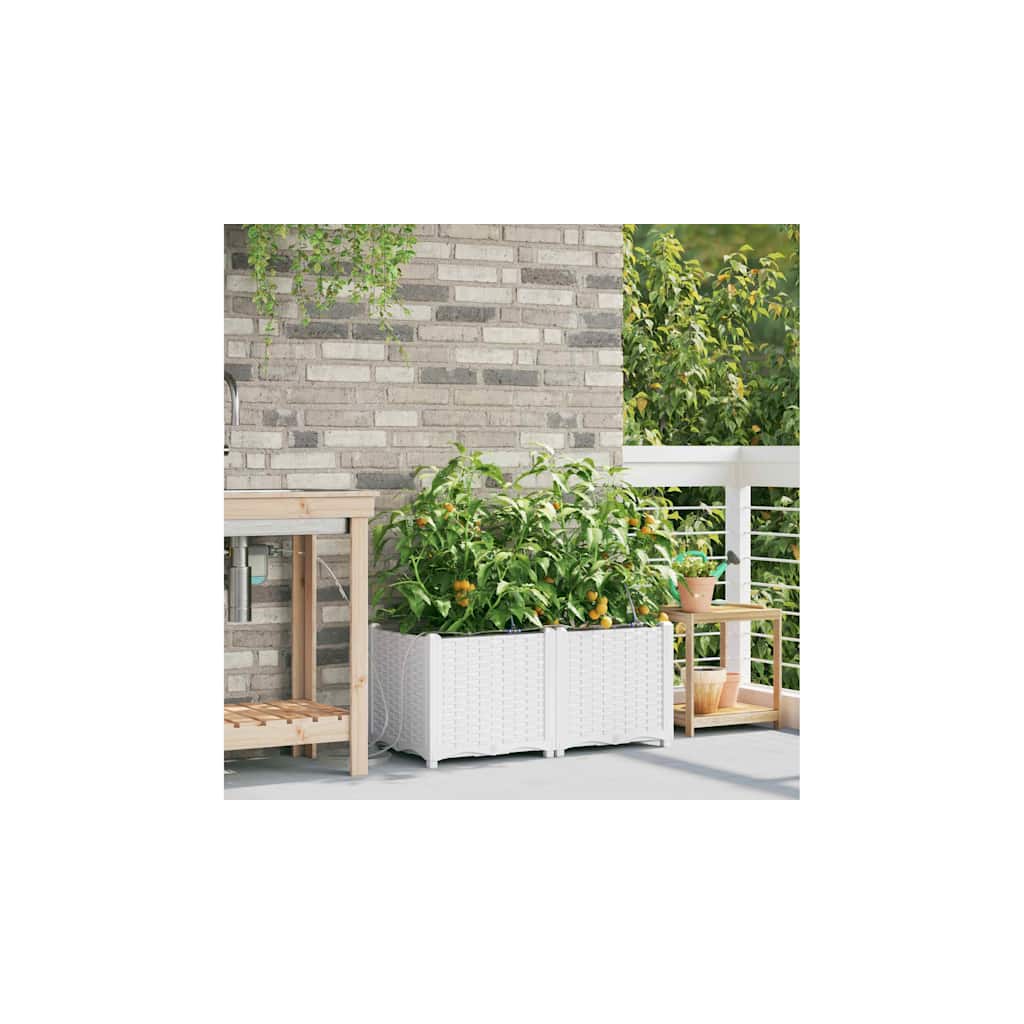 Macetero De Jardín 2 Uds. Blanco 80 X 40 X 37,5 Cm Pp_2