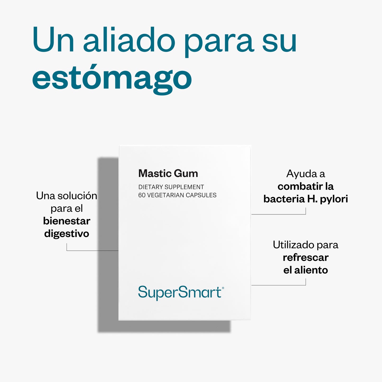 Mastic Gum_2