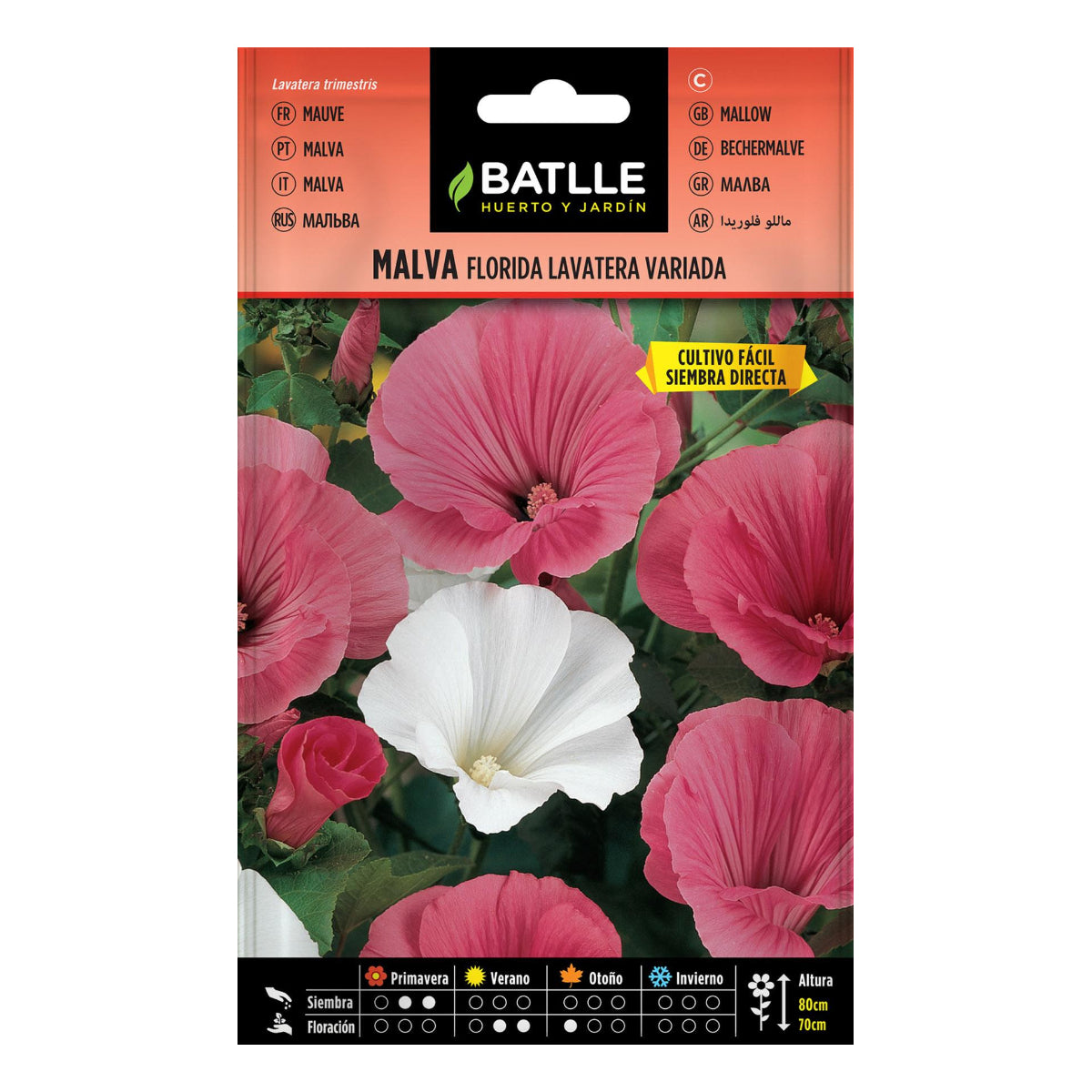 Sementes de Centaurea Duplamente Variegadas Batlle