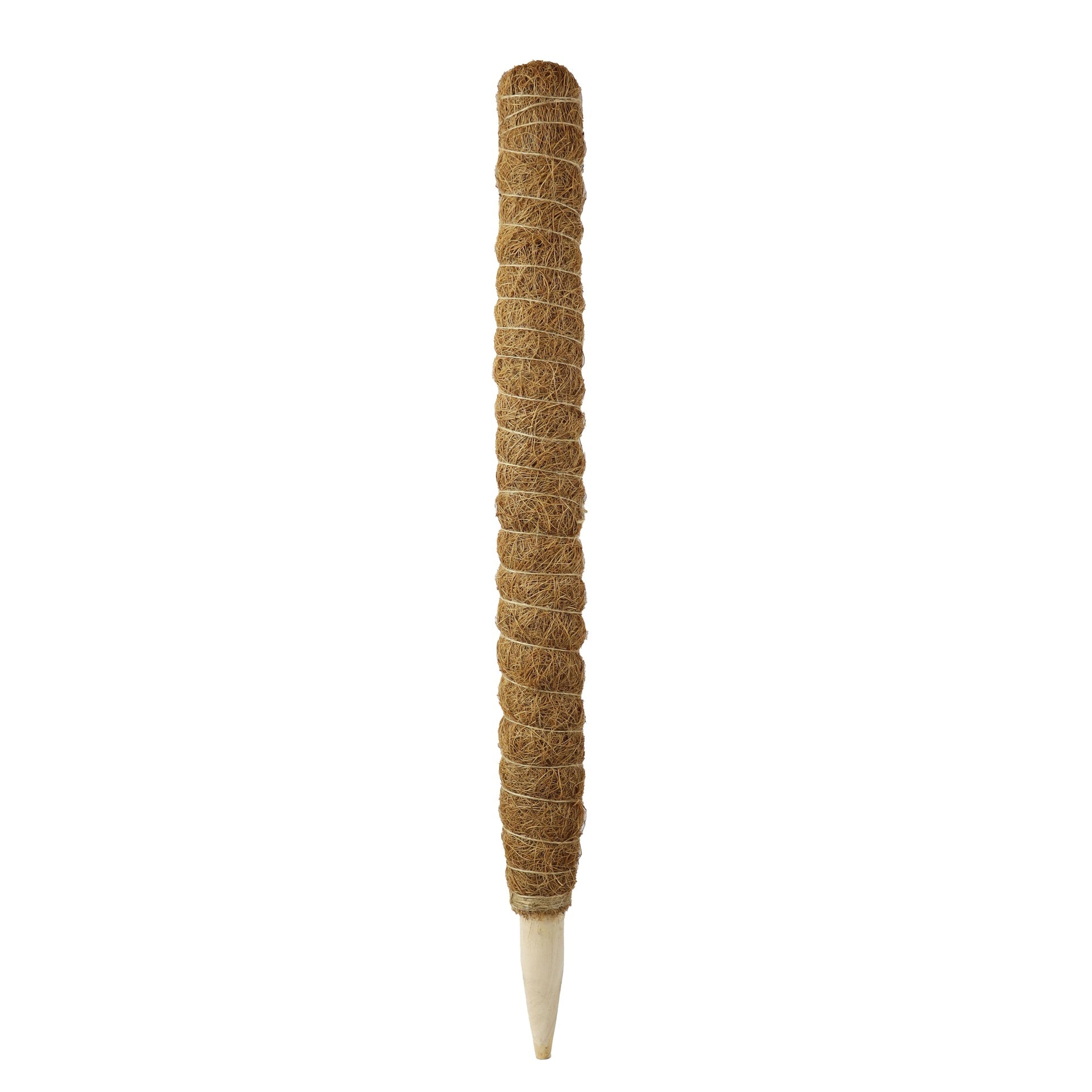 Estaca de coco natural Ø 52 mm Biotop 60 cm