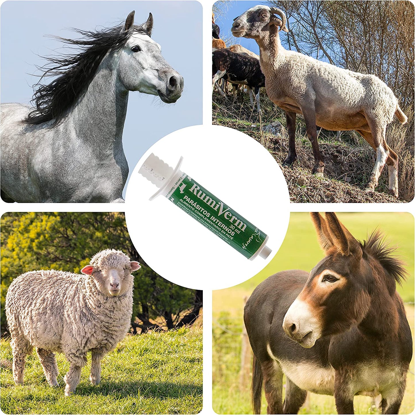 RumiVerm (30ml) - Complemento nutricional en pasta para cabras, ovejas y otros rumiantes – Apoyo digestivo_4