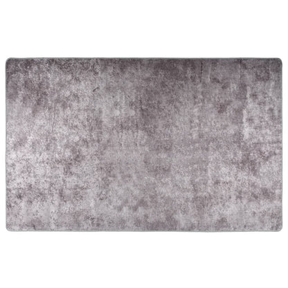 Alfombra Lavable Antideslizante Gris 160x230 Cm / Vetonek_0