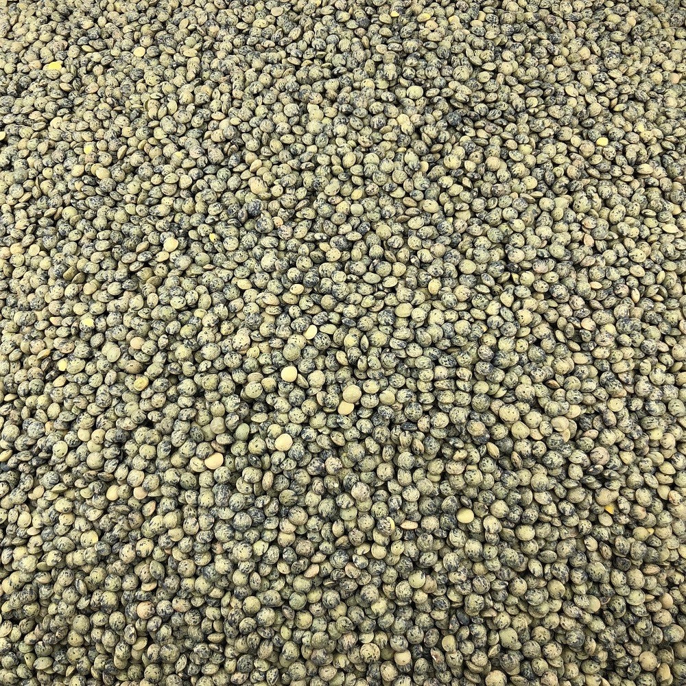 Lenteja Verde Ecológica Granel 0,25 Kg_2