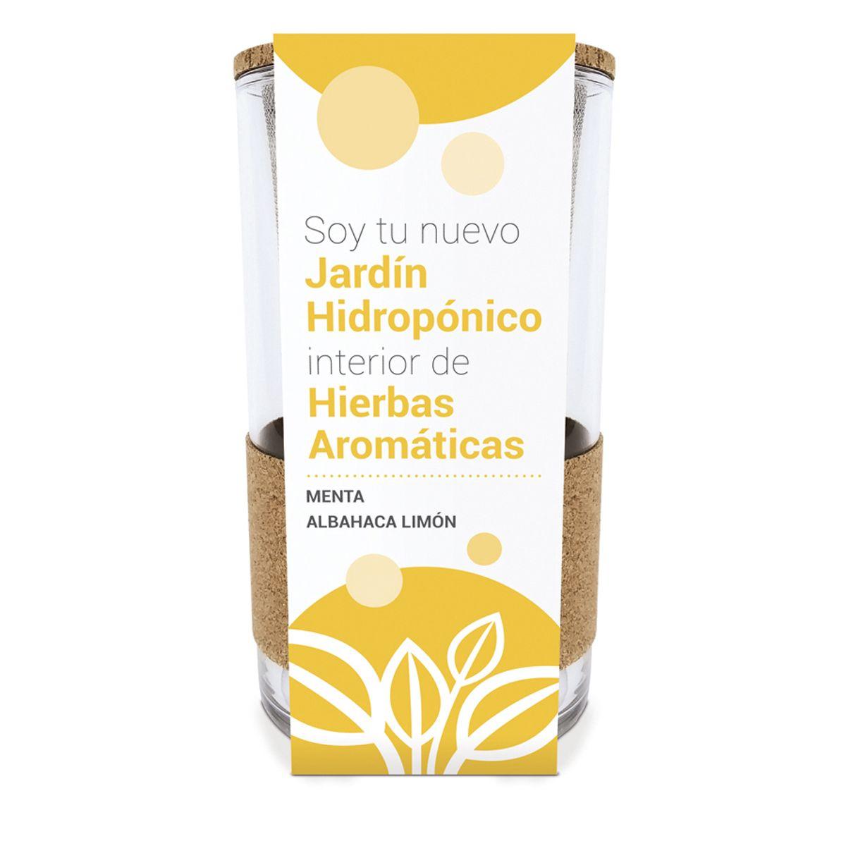 Cultivo hidropónico de hortelã e manjericão-limão