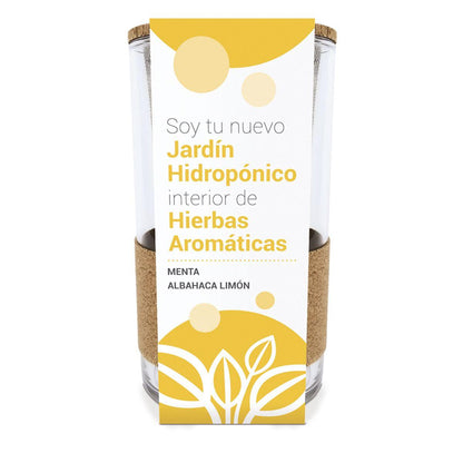 Cultivo hidropónico de hortelã e manjericão-limão