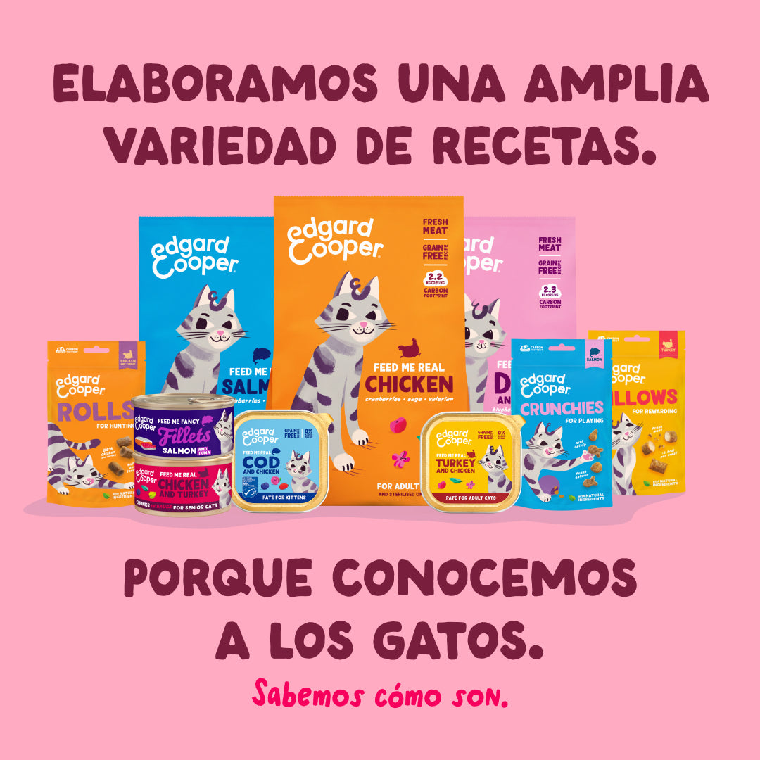 Filetes de pollo con gambas para gatos Edgard & Cooper 70 g