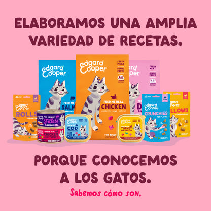 Filetes de pollo con gambas para gatos Edgard & Cooper 70 g