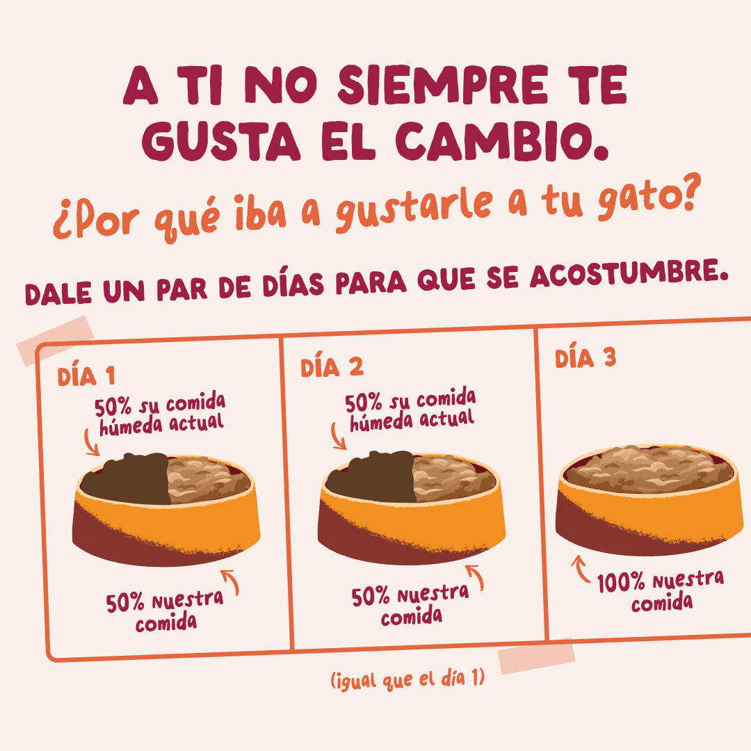Sobres de comida húmeda Pollo en Salsa para Gatos Adultos | Edgard & Cooper 85 g