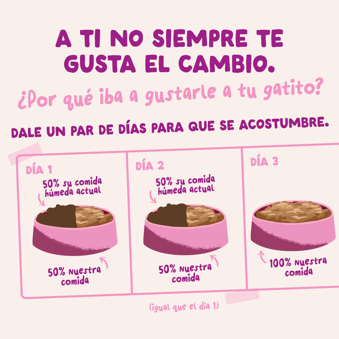 Sobres para gatitos Pato & Pollo en Salsa | Edgard & Cooper 85 g