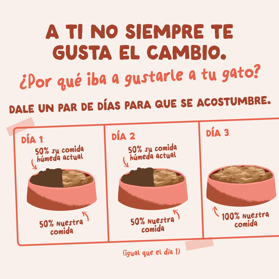 Sobres de comida húmeda Trucha & Pollo en Salsa para Gatos Adultos | Edgard & Cooper 85 g