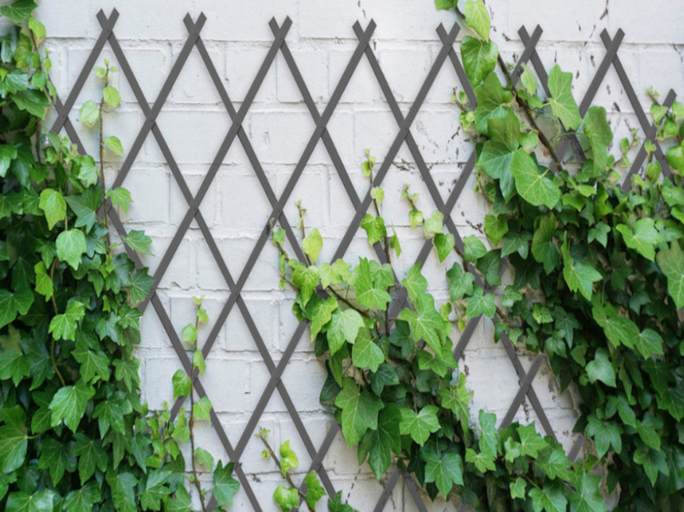 Celosia Plastica| Composicion 100% Pvc| Tutor De Plantas| Resistente| Decoracion Jardin 0,5x1,5m_2