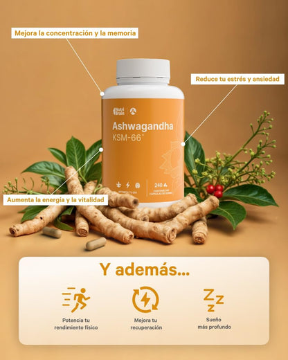 Ashwagandha Ksm-66 9000mg Extracto Patentado Nutribrain 240 Cápsulas_5