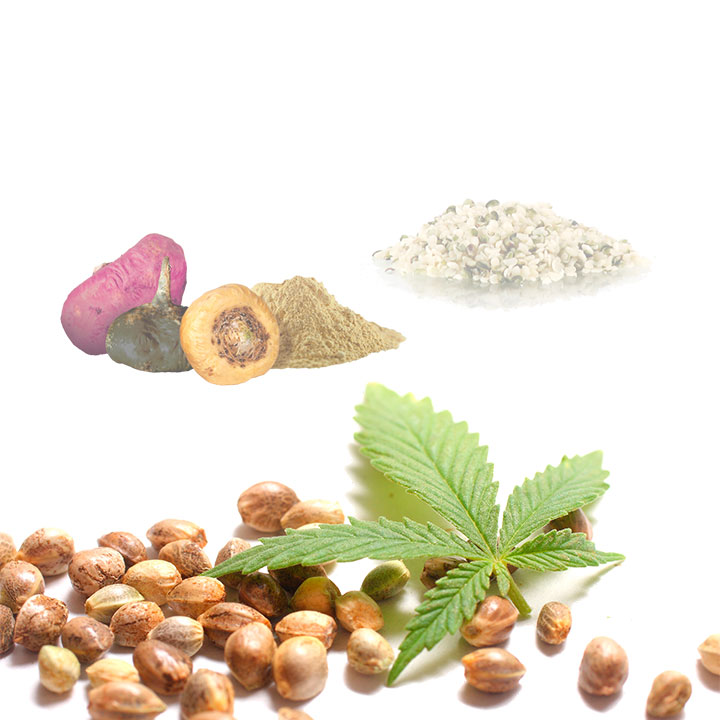 Hemp Macau (cáñamo · Maca · Cacao) Bio - 500g | Cacao Puro Ecológico Vegano Para Repostería Y Bebidas_3